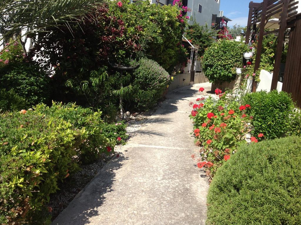 Paphos Townhouse Exterior photo